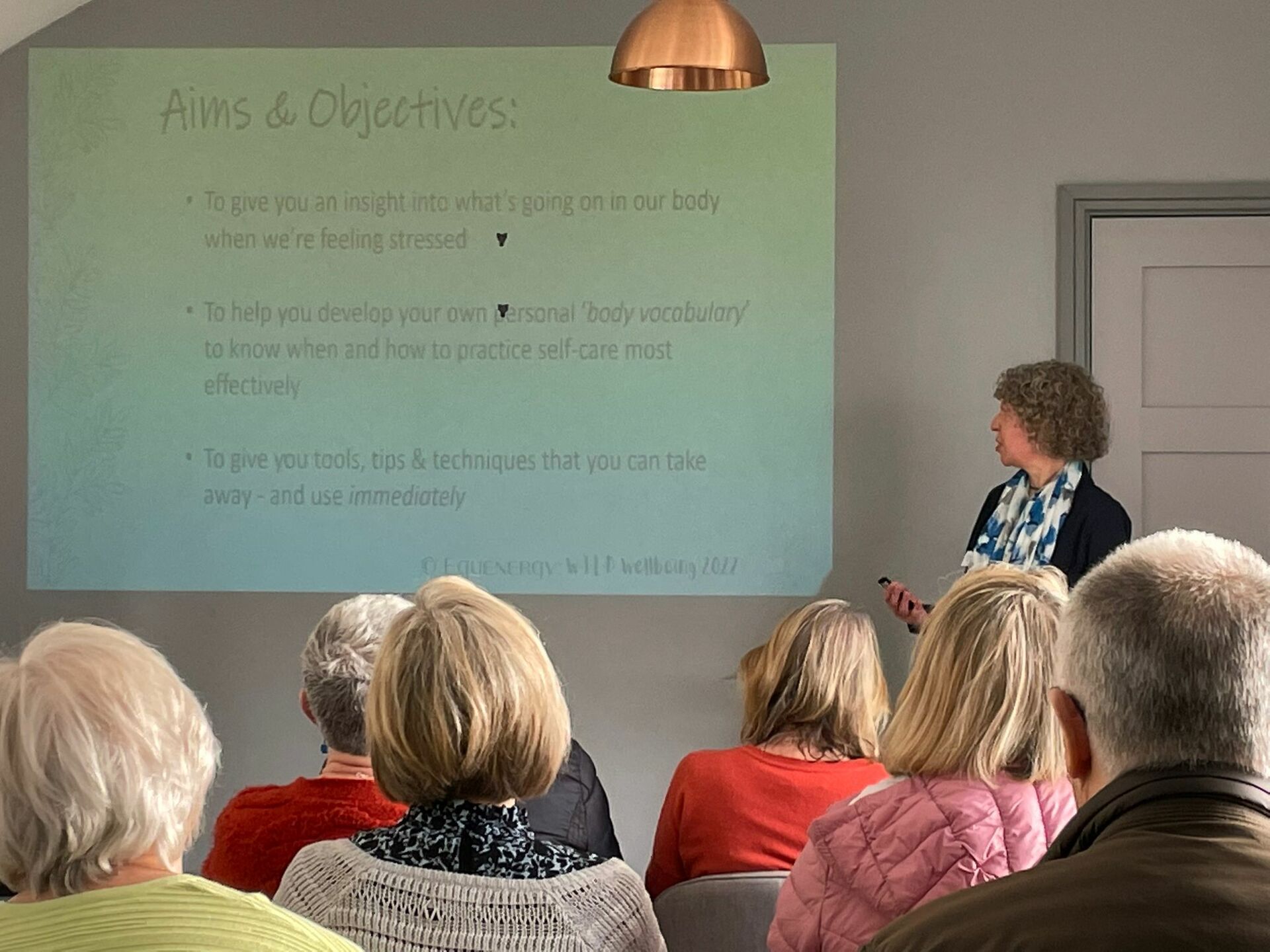 Robyn Harris speaking at a Continuous Professional Development day for Cruse volunteers