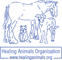 Healing Animals Organisation