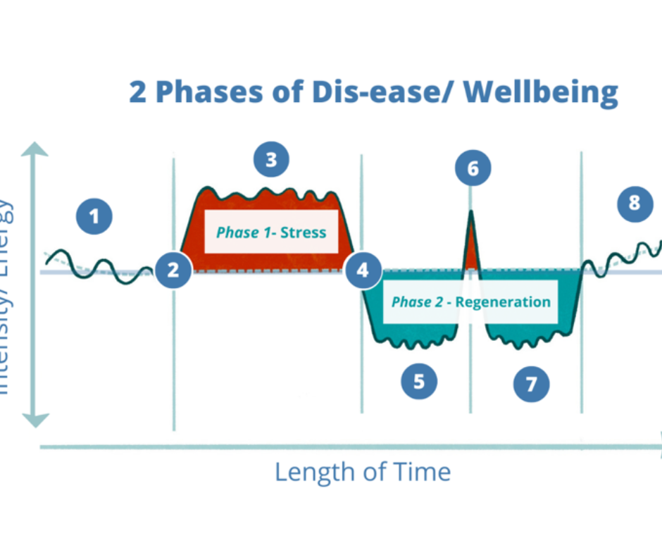 graph illustrating the process of dis-ease / wellbeing