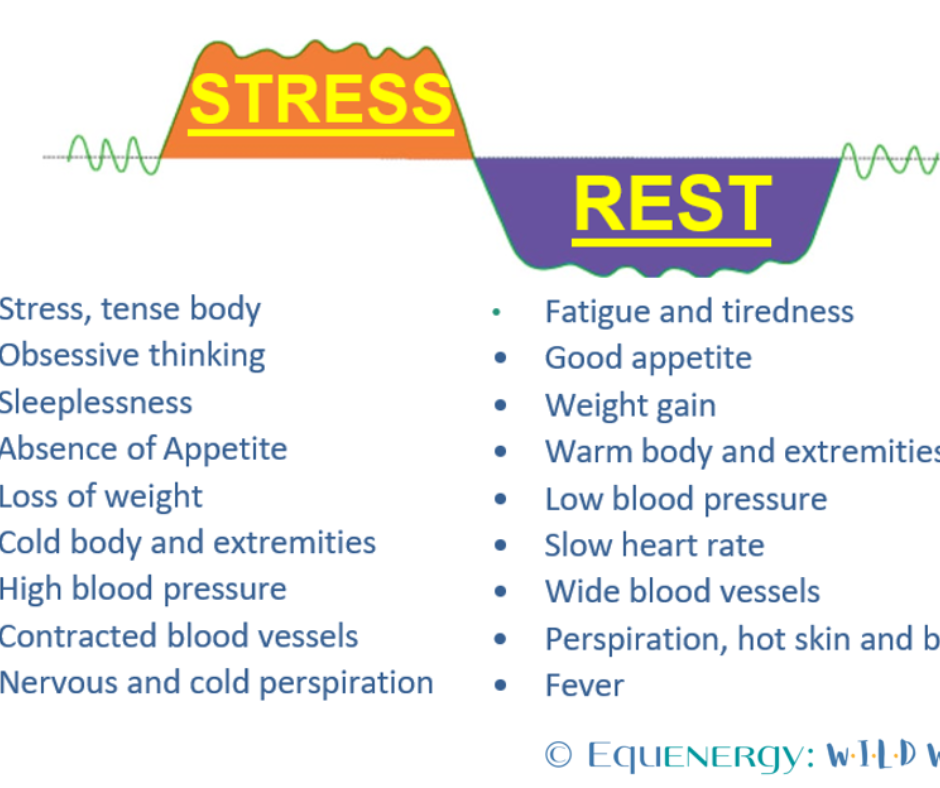 the symptoms typically found within each of the 2 phases of dis-ease